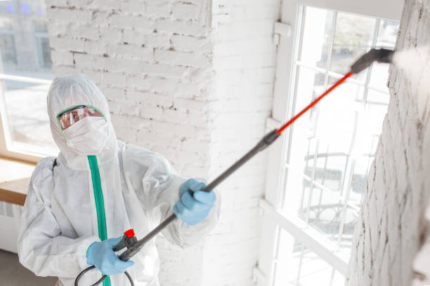 Mold Remediation for Rental Properties in East Dubuque, IL